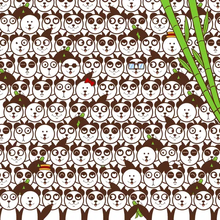 Teste visual com vários pandas parecidos e uma bola de futebol escondida
