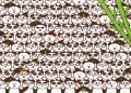 Teste visual com vários pandas parecidos e uma bola de futebol escondida
