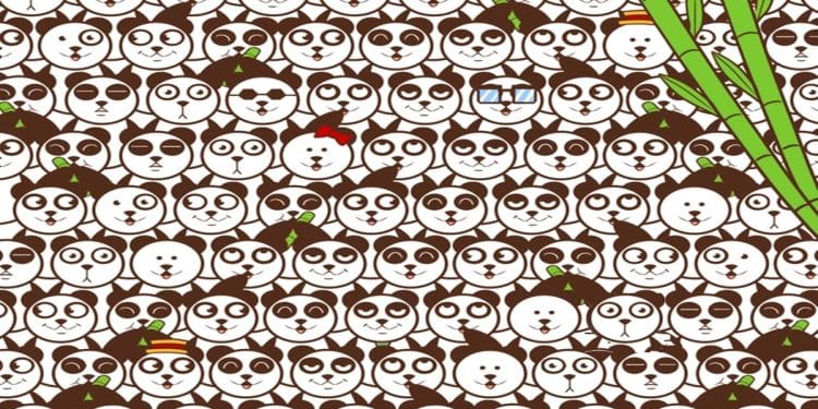 Teste visual com vários pandas parecidos e uma bola de futebol escondida