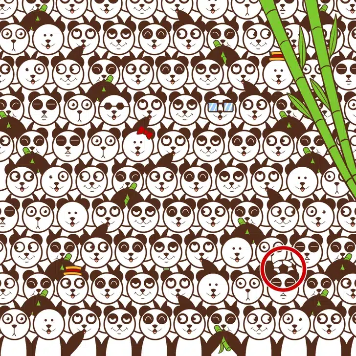 Teste visual com vários pandas parecidos e uma bola de futebol escondida