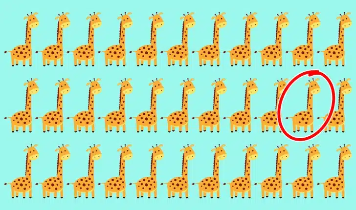 Teste visual com várias girafas desenhadas, uma diferente entre elas.