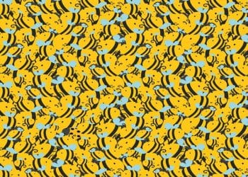 Teste visual com um padrão repetitivo de abelhas-amarelas com asas azuis