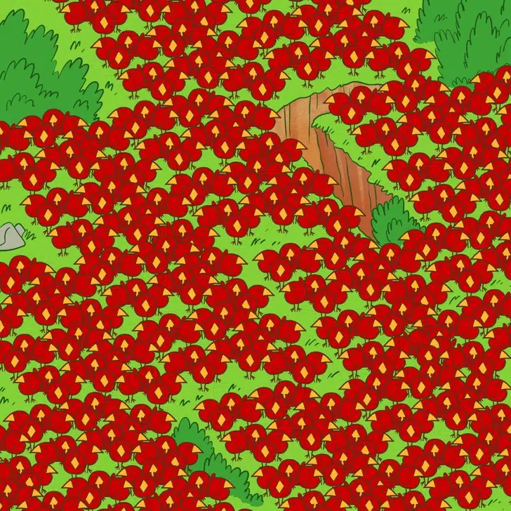 Teste visual com ilustração de muitos passarinhos vermelhos em um campo verde; há uma maçã escondida na cena