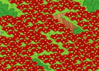 Teste visual com ilustração de muitos passarinhos vermelhos em um campo verde; há uma maçã escondida na cena