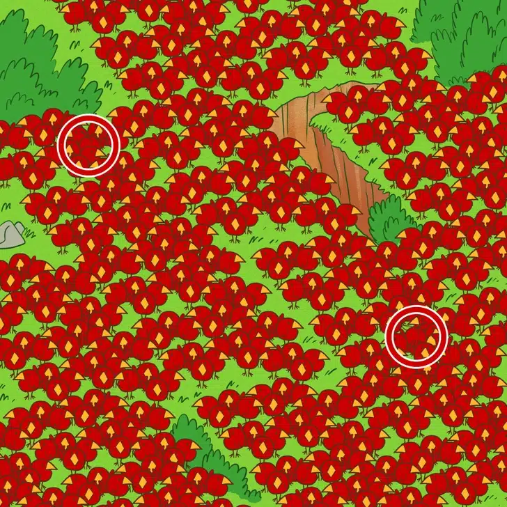 Teste visual com ilustração de muitos passarinhos vermelhos em um campo verde; há uma maçã escondida na cena