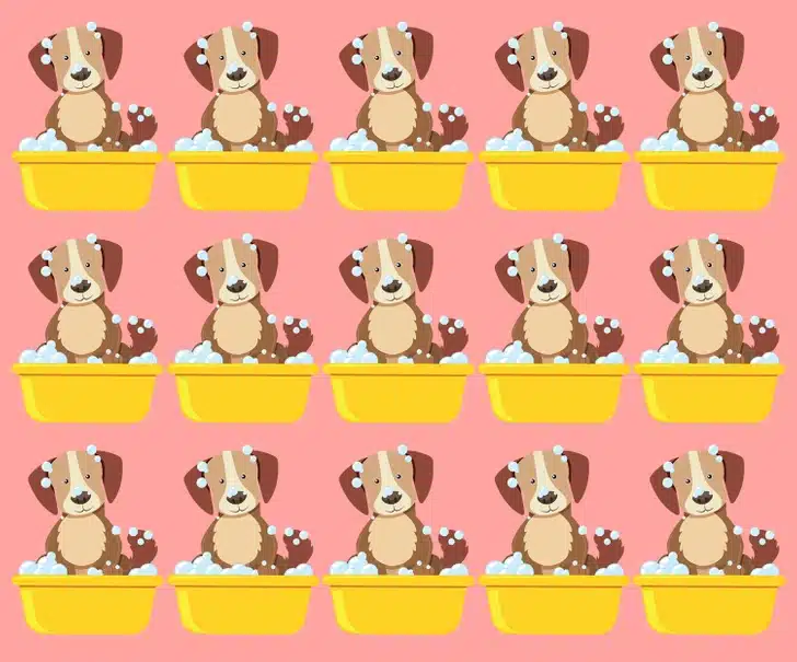 Teste visual com quinze ilustrações de cachorros em banheiras amarelas com sabão e fundo rosa