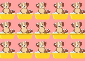 Teste visual com quinze ilustrações de cachorros em banheiras amarelas com sabão e fundo rosa