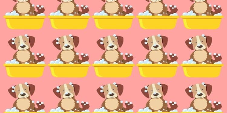 Teste visual com quinze ilustrações de cachorros em banheiras amarelas com sabão e fundo rosa