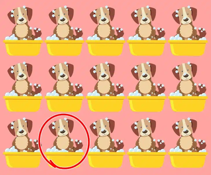 Teste visual com quinze ilustrações de cachorros em banheiras amarelas com sabão e fundo rosa