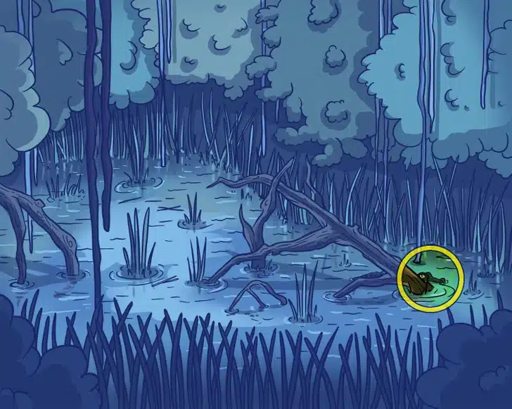 Teste visual de um desenho do pântano com troncos caídos, vegetação e água parada