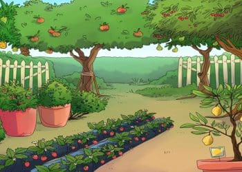 Teste visual com um pomar caseiro com árvores frutíferas, hortaliças, morangos e plantas em vasos