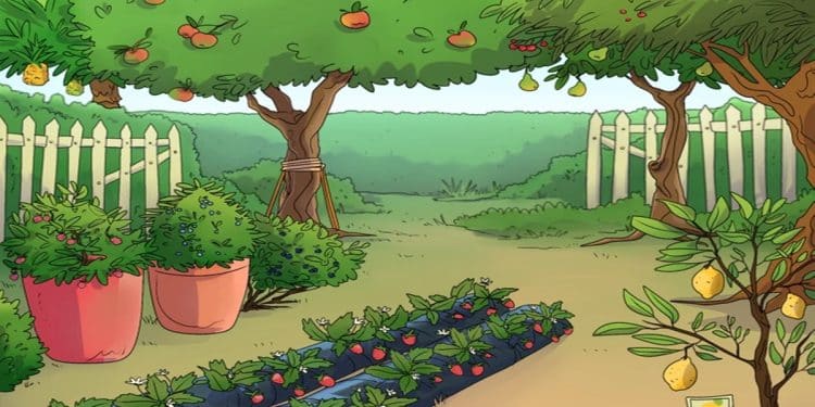 Teste visual com um pomar caseiro com árvores frutíferas, hortaliças, morangos e plantas em vasos