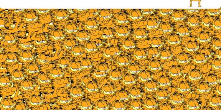 Teste visual com vários personagens Garfield em tons de laranja e amarelo, desafiando a encontrar o personagem Jack