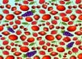 Teste visual com desenho repetido com morangos, cerejas, framboesas, tomates e uvas