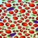 Teste visual com desenho repetido com morangos, cerejas, framboesas, tomates e uvas