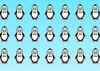 Teste visual com 21 pinguins desenhados em filas, todos parecidos, exceto um diferente