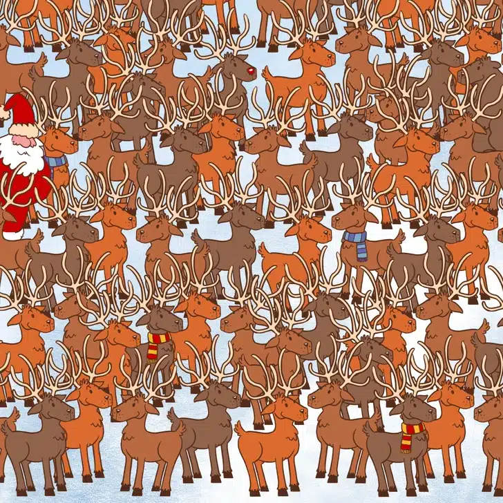 Teste visual com ilustração de vários cervos e um urso escondido entre eles em um cenário de neve.