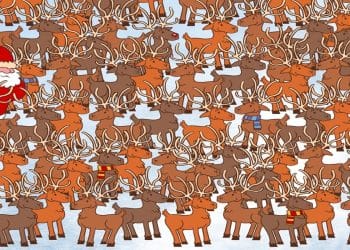 Teste visual com ilustração de vários cervos e um urso escondido entre eles em um cenário de neve.