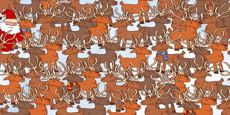 Teste visual com ilustração de vários cervos e um urso escondido entre eles em um cenário de neve.