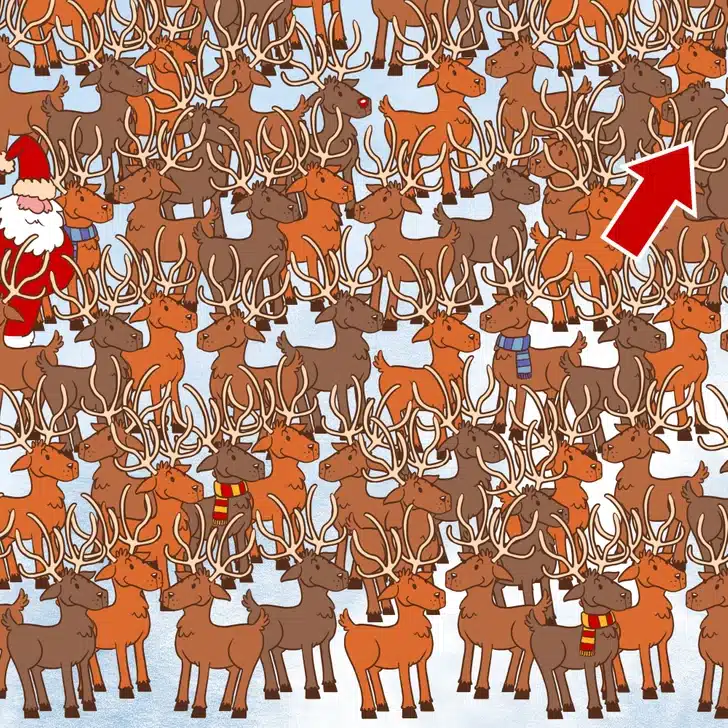 Teste visual com ilustração de vários cervos e um urso escondido entre eles em um cenário de neve.