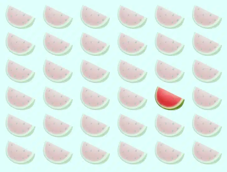 Desafio visual com diversas fatias de melancia organizadas em fileiras, com uma diferente entre elas.