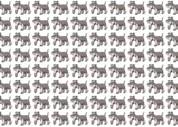 Teste visual com vários cães desenhados alinhados, enquanto um deles apresenta detalhe diferente entre eles.