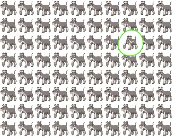 Teste visual com vários cães desenhados alinhados, enquanto um deles apresenta detalhe diferente entre eles.