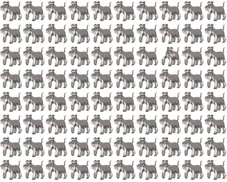 Teste visual com vários cães desenhados alinhados, enquanto um deles apresenta detalhe diferente entre eles.