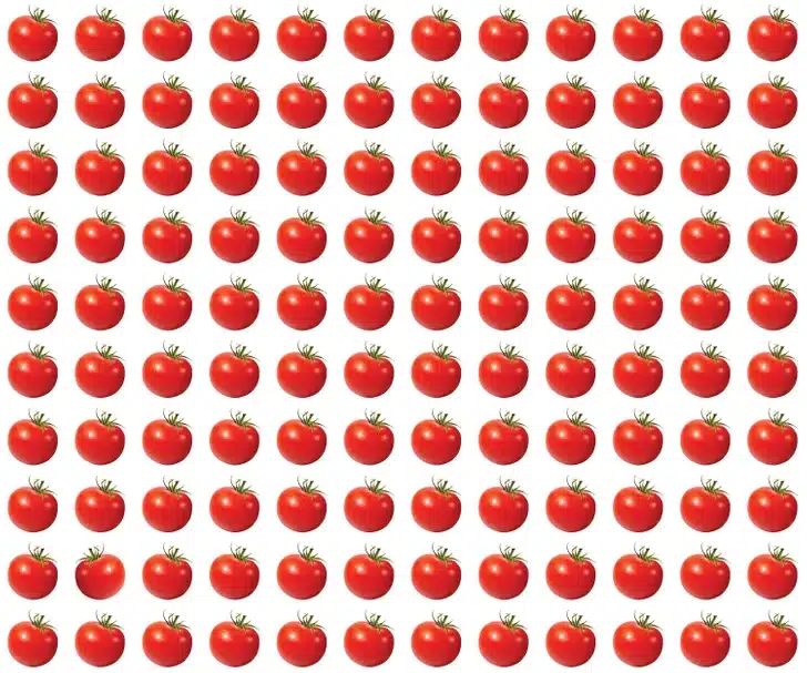 Teste de atenção com vários tomates vermelhos alinhados, um diferente entre eles, sobre fundo branco