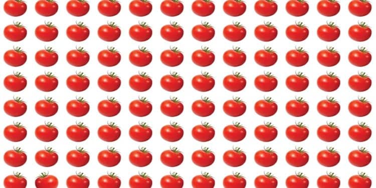 Teste de atenção com vários tomates vermelhos alinhados, um diferente entre eles, sobre fundo branco