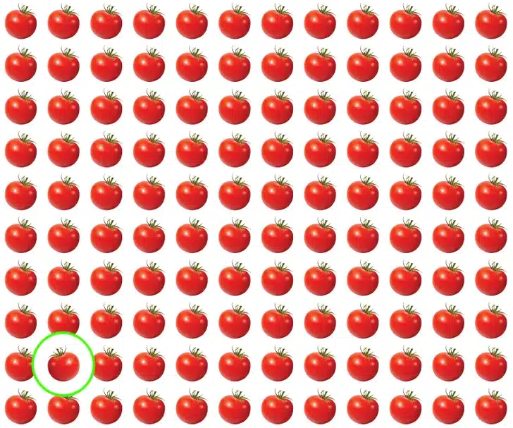 Teste de atenção com vários tomates vermelhos alinhados, um diferente entre eles, sobre fundo branco