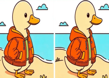 Pato amarelo veste jaqueta laranja próximo ao mar com céu claro e nuvens.