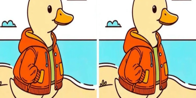 Pato amarelo veste jaqueta laranja próximo ao mar com céu claro e nuvens.