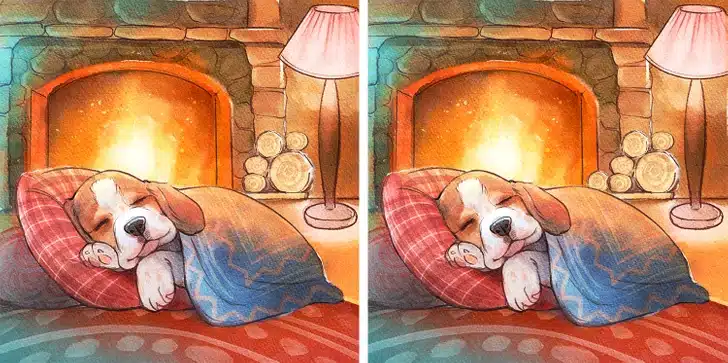 Desafio visual com cachorro deitado em almofadas coloridas com lareira acesa ao fundo