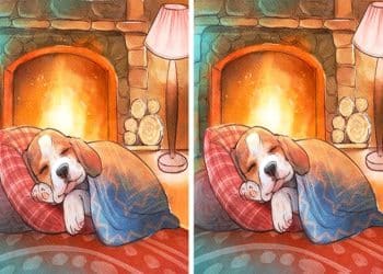 Desafio visual com cachorro deitado em almofadas coloridas com lareira acesa ao fundo