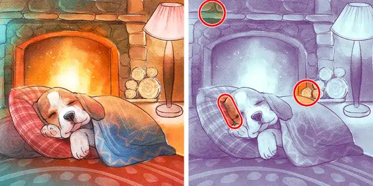 Desafio visual com cachorro deitado em almofadas coloridas com lareira acesa ao fundo