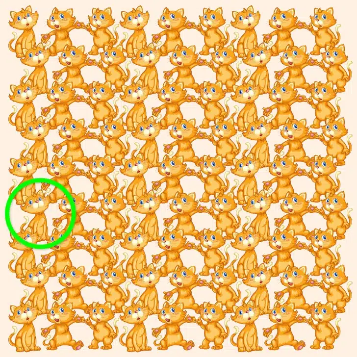 Ilusão de ótica com vários gatos laranja desenhados segurando patinhas em grupo, com um deles sem boca