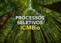 Floresta vista de baixo com texto 'Processos Seletivos ICMBio'.