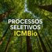 Floresta vista de baixo com texto 'Processos Seletivos ICMBio'.