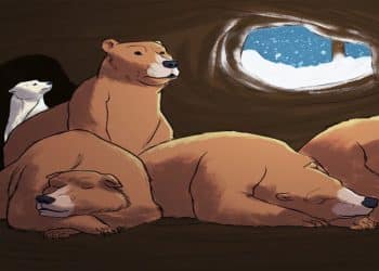 Teste sua atenção com três ursos marrons dormindo juntos e um urso polar acordado dentro de caverna com neve pela janela