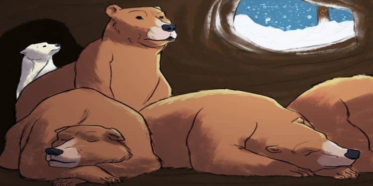 Teste sua atenção com três ursos marrons dormindo juntos e um urso polar acordado dentro de caverna com neve pela janela