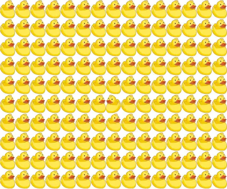 Teste visual com diversos patos de borracha alinhados, sendo um visualmente diferente entre eles.