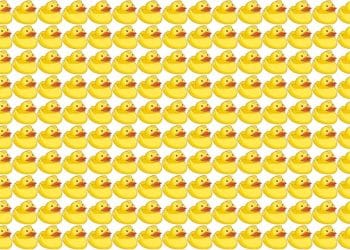 Teste visual com diversos patos de borracha alinhados, sendo um visualmente diferente entre eles.