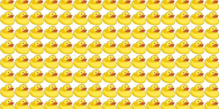 Teste visual com diversos patos de borracha alinhados, sendo um visualmente diferente entre eles.