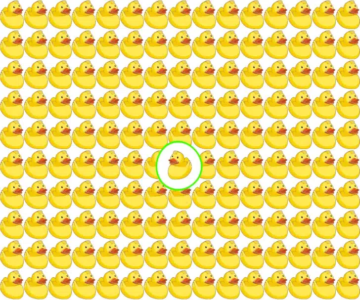 Teste visual com diversos patos de borracha alinhados, sendo um visualmente diferente entre eles.