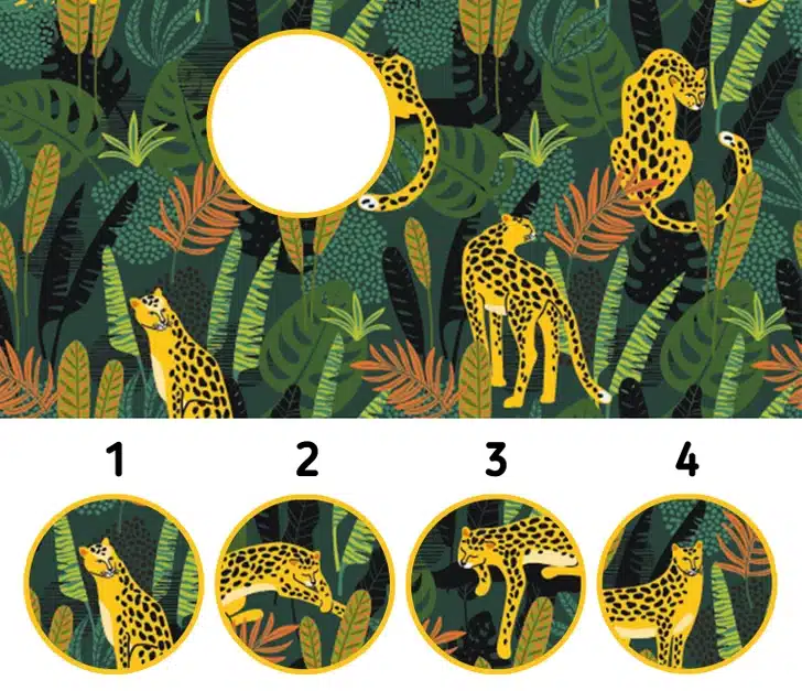 Quatro onças com padrões amarelos e pretos camufladas em vegetação densa