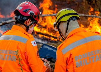 Dois bombeiros militares com fardamento laranja e capacetes consultando tablet em operação de combate a incêndio representando o concurso do CBMMG 2026 com inscrições abertas