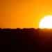 Fotografia de paisagem urbana ao pôr do sol ou nascer do sol. O céu está predominantemente em tons intensos de laranja, amarelo e ouro. À direita, um sol circular muito grande, branco e brilhante, começa a se esconder atrás da linha do horizonte. O horizonte é uma silhueta preta e sólida de edifícios, prédios baixos e antenas de comunicação, sem detalhes visíveis. A parte inferior da imagem é composta por uma área escura, preta e indefinida.
