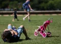 Projeto de licença-paternidade aguarda sanção de Lula — adulto deitado na grama de parque brincando com criança pequena ao lado de carrinho de bebê rosa