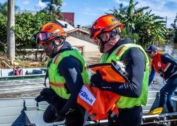 Lei de proteção a animais resgatados: bombeiros salvando cães durante enchente em área alagada